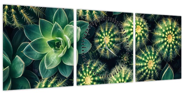 Tablou - Cactuși (cu ceas) (90x30 cm)