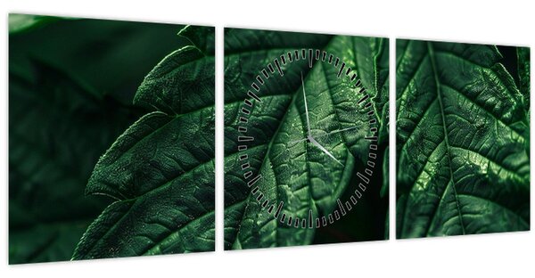 Tablou - Detaliu al foii (cu ceas) (90x30 cm)