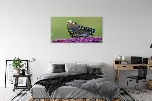 Tablouri canvas fluture colorat pe flori
