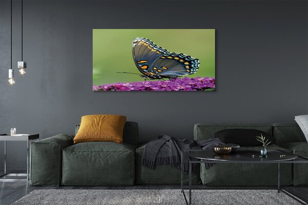 Tablouri canvas fluture colorat pe flori