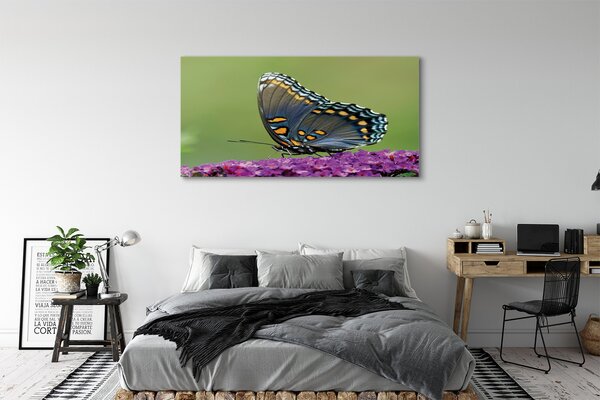 Tablouri canvas fluture colorat pe flori