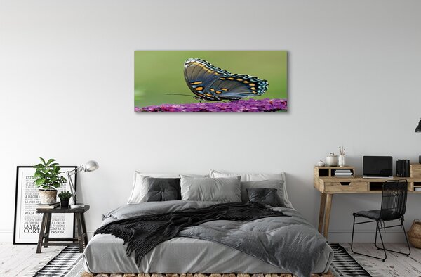 Tablouri canvas fluture colorat pe flori