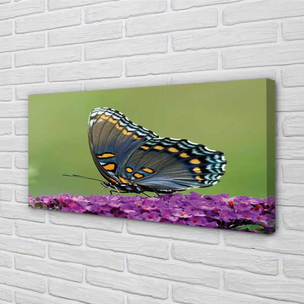 Tablouri canvas fluture colorat pe flori