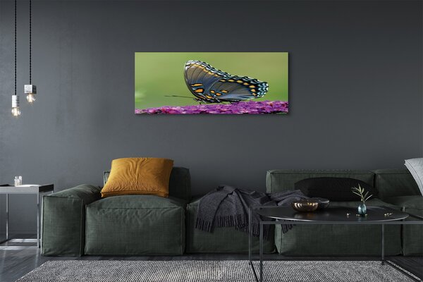 Tablouri canvas fluture colorat pe flori