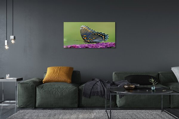 Tablouri canvas fluture colorat pe flori
