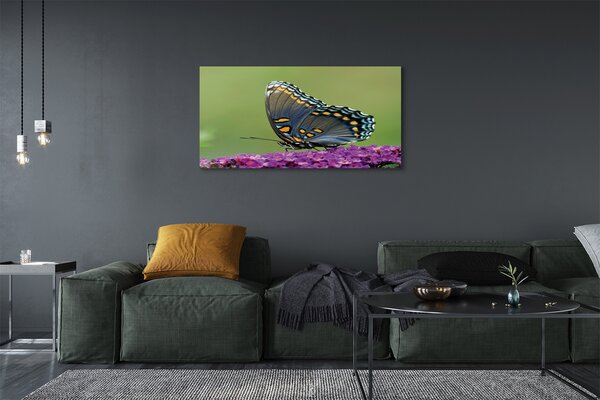 Tablouri canvas fluture colorat pe flori
