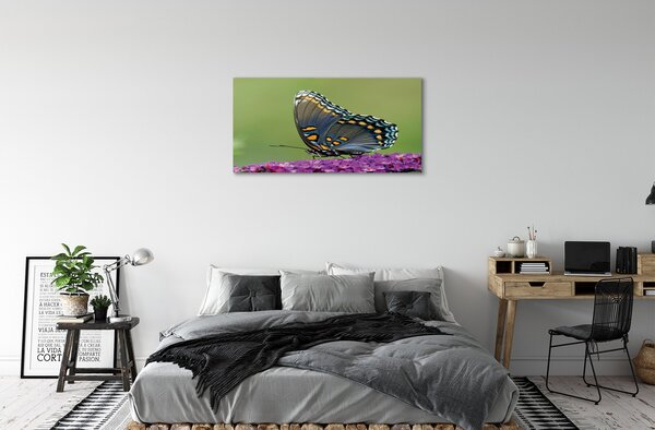 Tablouri canvas fluture colorat pe flori