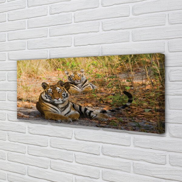 Tablouri canvas Tigers