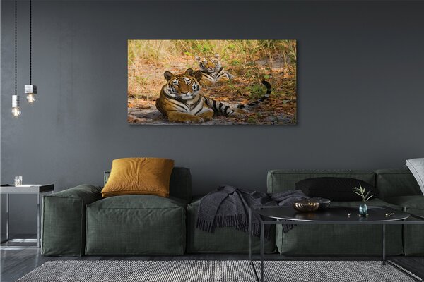 Tablouri canvas Tigers