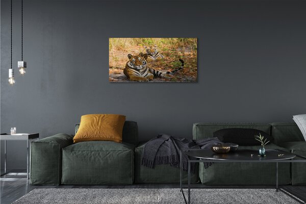 Tablouri canvas Tigers