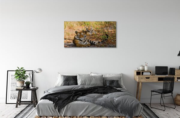 Tablouri canvas Tigers
