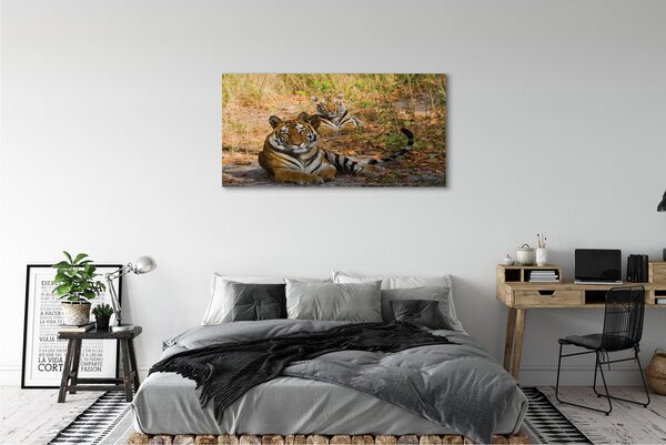 Tablouri canvas Tigers