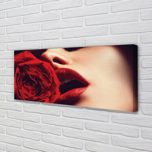 Tablouri canvas Rose femeie gura