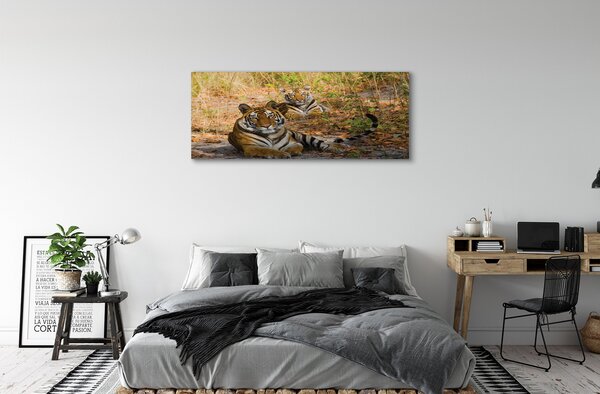 Tablouri canvas Tigers