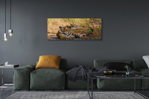 Tablouri canvas Tigers