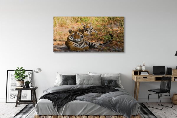 Tablouri canvas Tigers