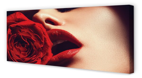 Tablouri canvas Rose femeie gura