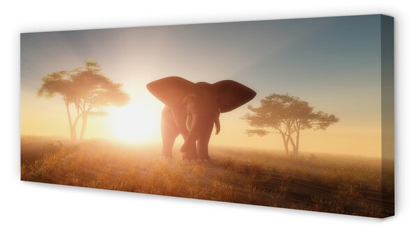 Tablouri canvas Elephant copac est