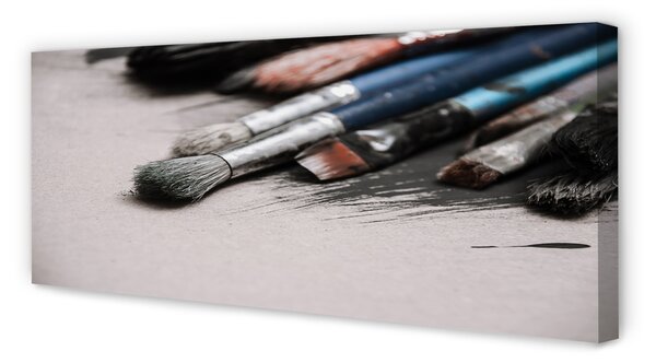 Tablouri canvas Perii pentru vopsire