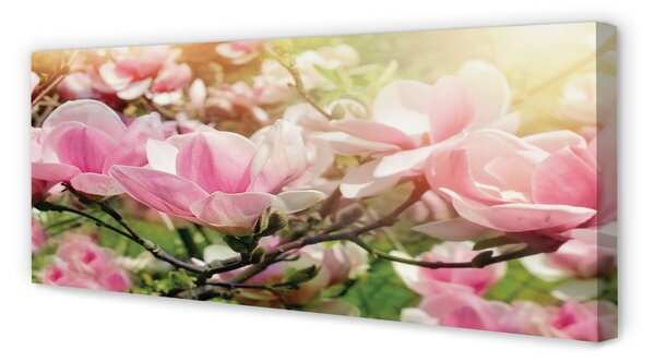 Tablouri canvas flori