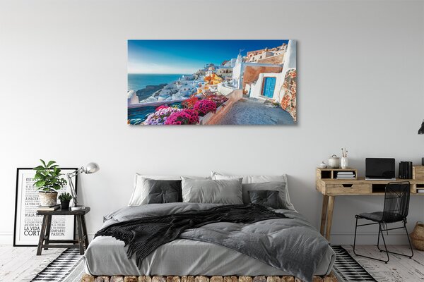 Tablouri canvas Clădiri Grecia flori la mare