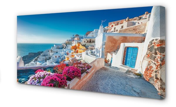 Tablouri canvas Clădiri Grecia flori la mare