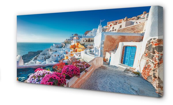 Tablouri canvas Clădiri Grecia flori la mare