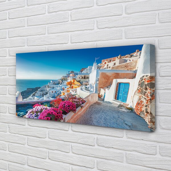 Tablouri canvas Clădiri Grecia flori la mare