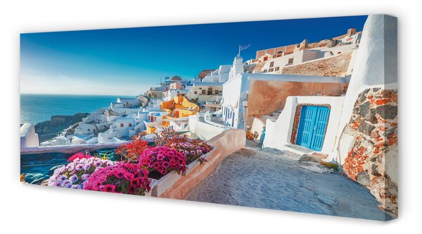 Tablouri canvas Clădiri Grecia flori la mare