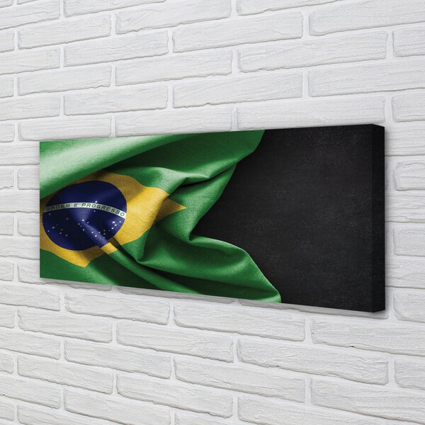 Tablouri canvas pavilion din Brazilia
