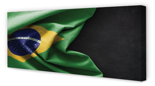Tablouri canvas pavilion din Brazilia