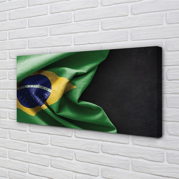 Tablouri canvas pavilion din Brazilia