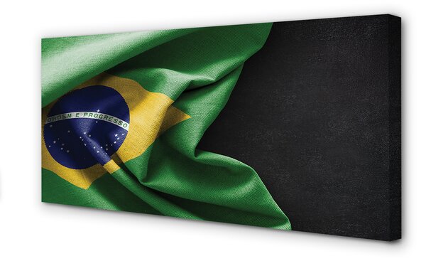 Tablouri canvas pavilion din Brazilia