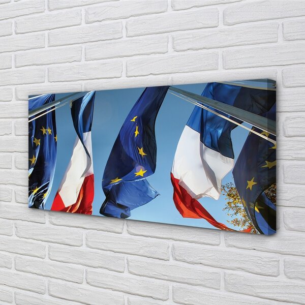 Tablouri canvas steaguri