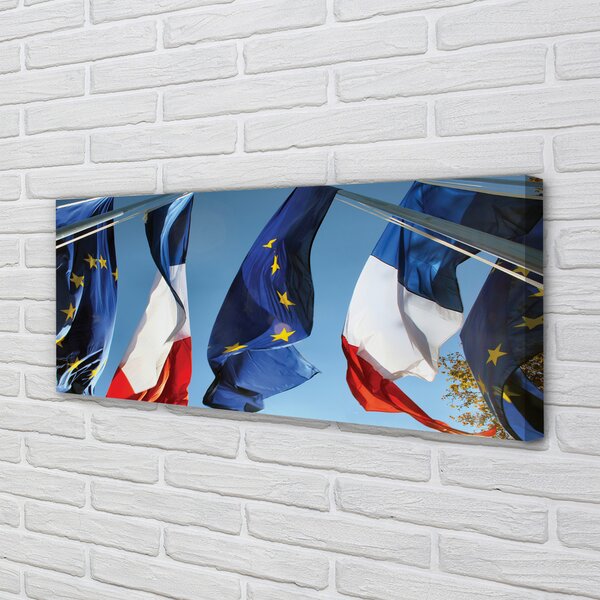 Tablouri canvas steaguri