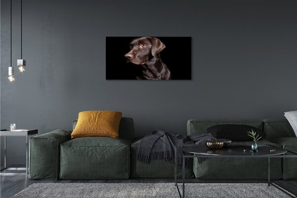 Tablouri canvas maro câine