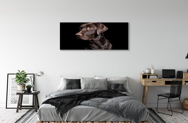 Tablouri canvas maro câine