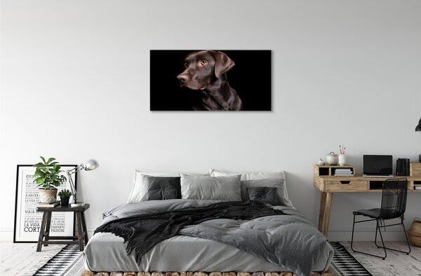 Tablouri canvas maro câine