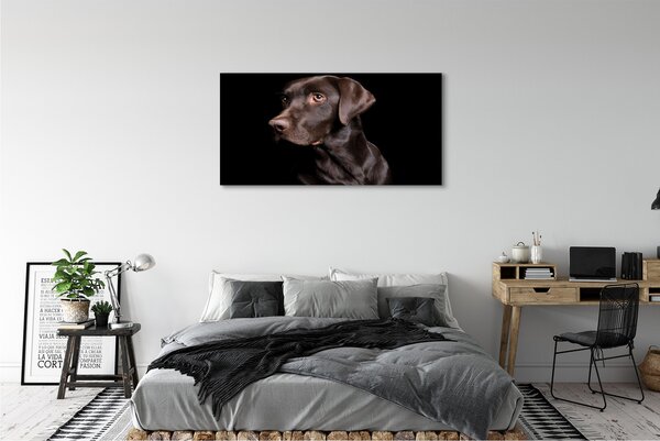 Tablouri canvas maro câine
