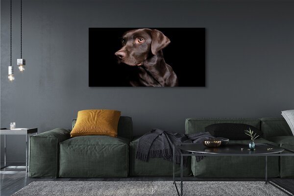 Tablouri canvas maro câine