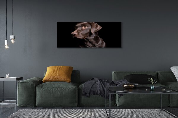 Tablouri canvas maro câine