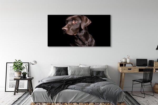 Tablouri canvas maro câine