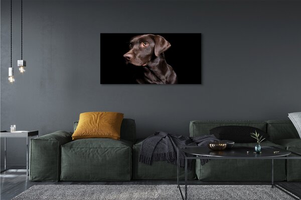 Tablouri canvas maro câine