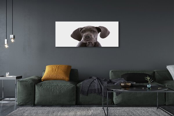 Tablouri canvas maro câine