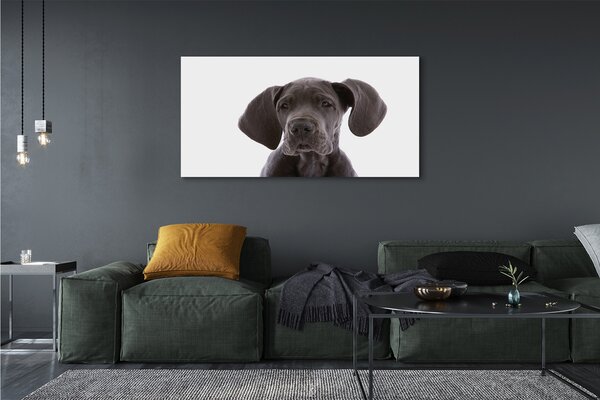 Tablouri canvas maro câine