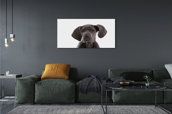 Tablouri canvas maro câine