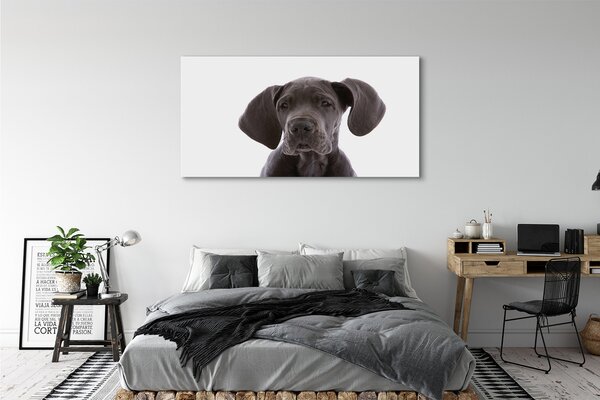 Tablouri canvas maro câine
