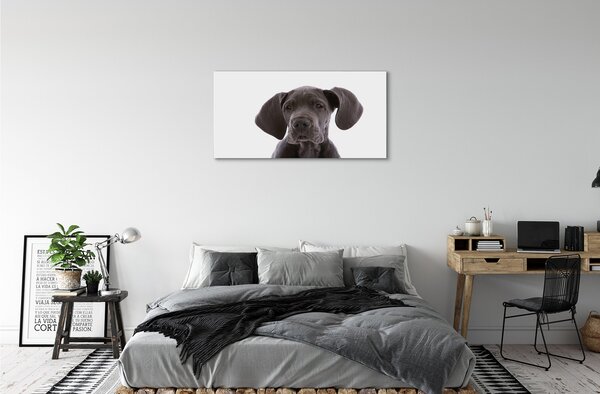Tablouri canvas maro câine