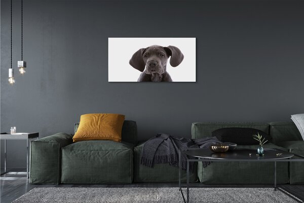 Tablouri canvas maro câine