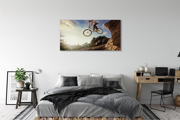 Tablouri canvas Mountain bike nori cer